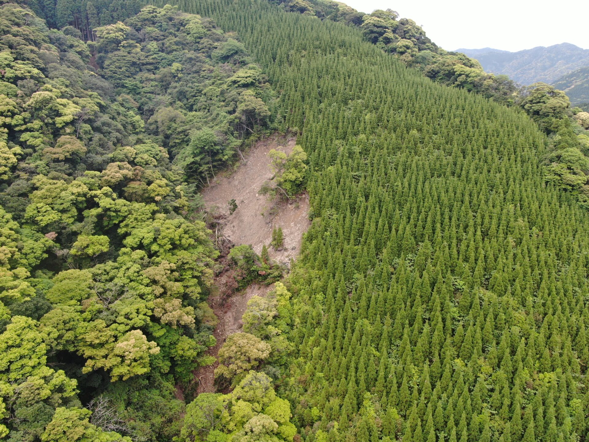 治山実施設計業務 納屋ヶ平地区ほか1